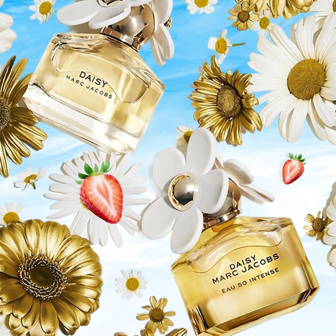 Daisy Edt W